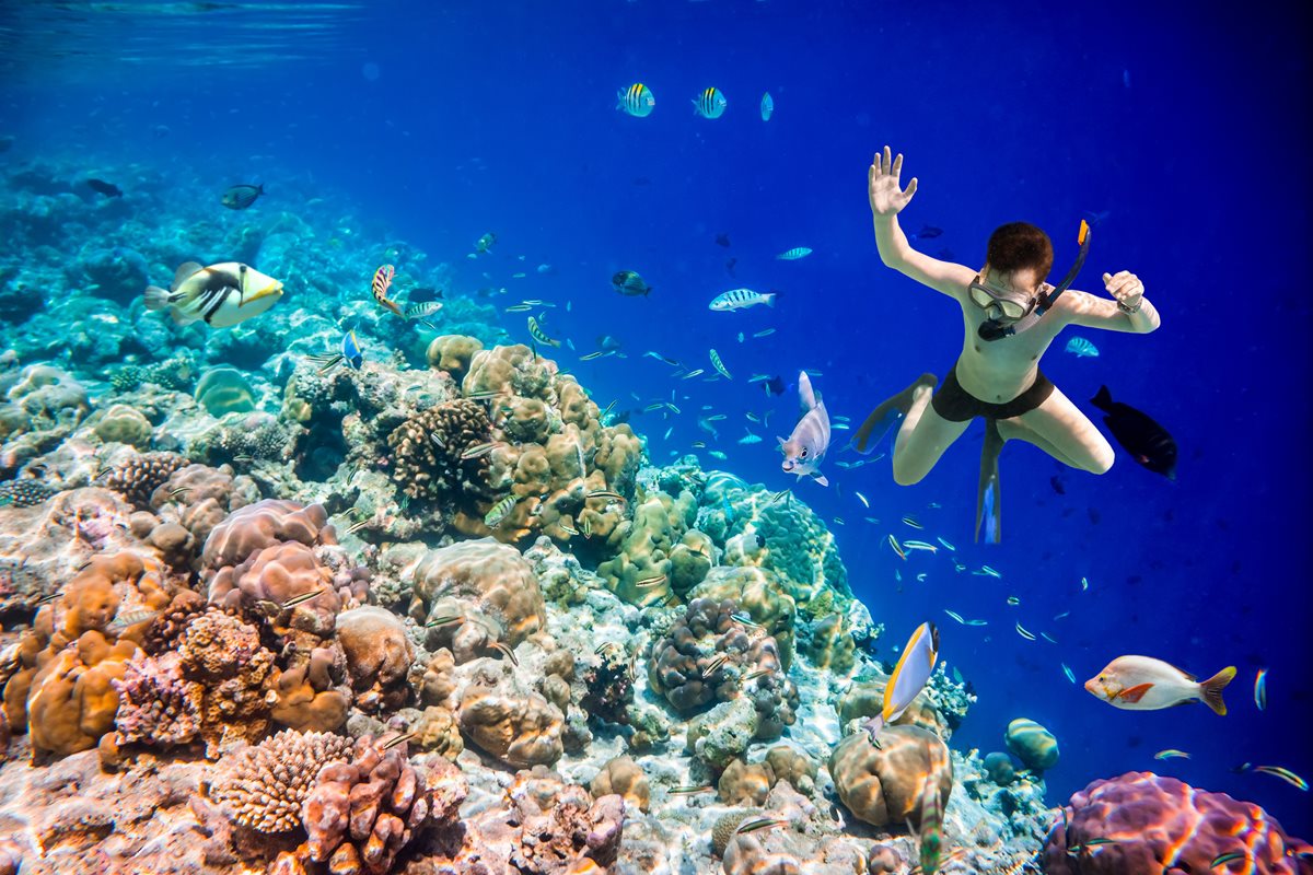 snorkeling male