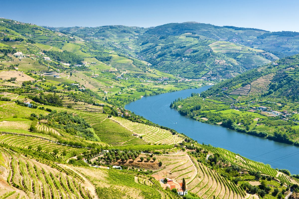 Valea - Douro - Portugalia