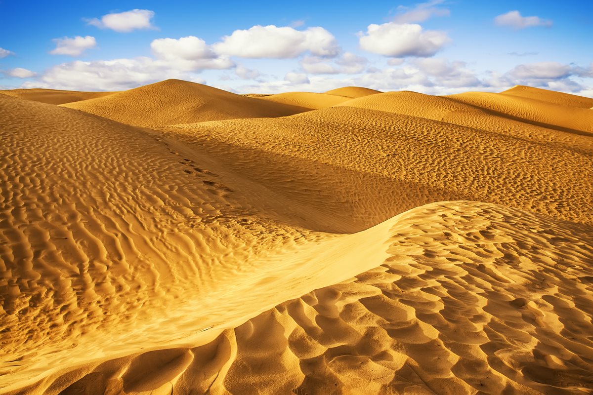 Desert Sahara - Tunisia
