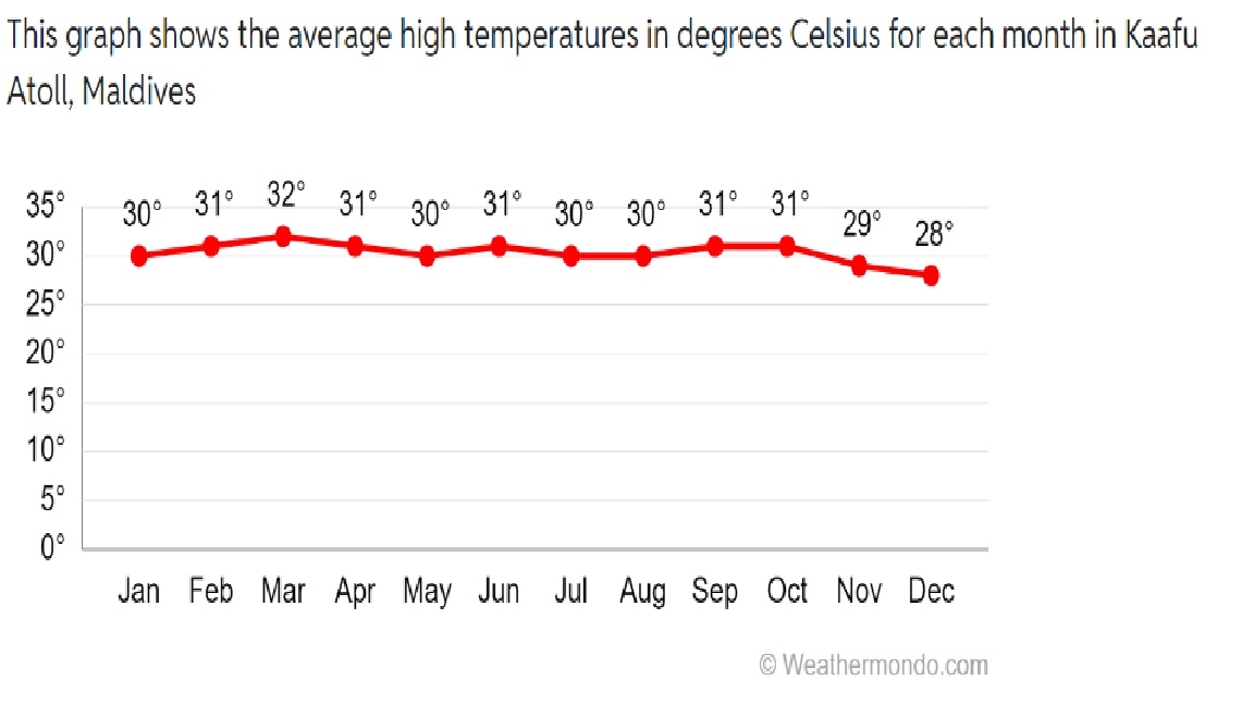 med temp