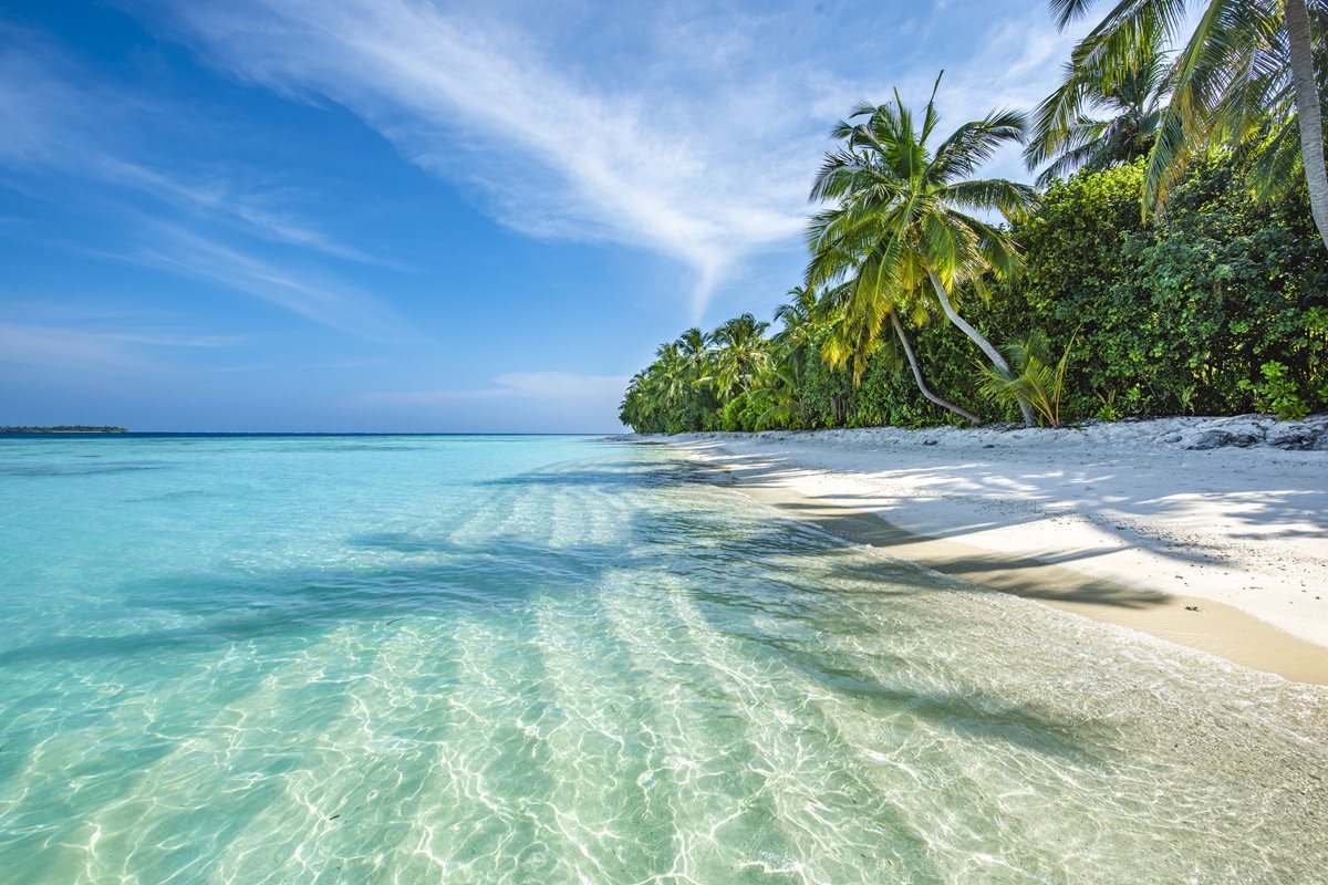 Plaje maldive kaafu