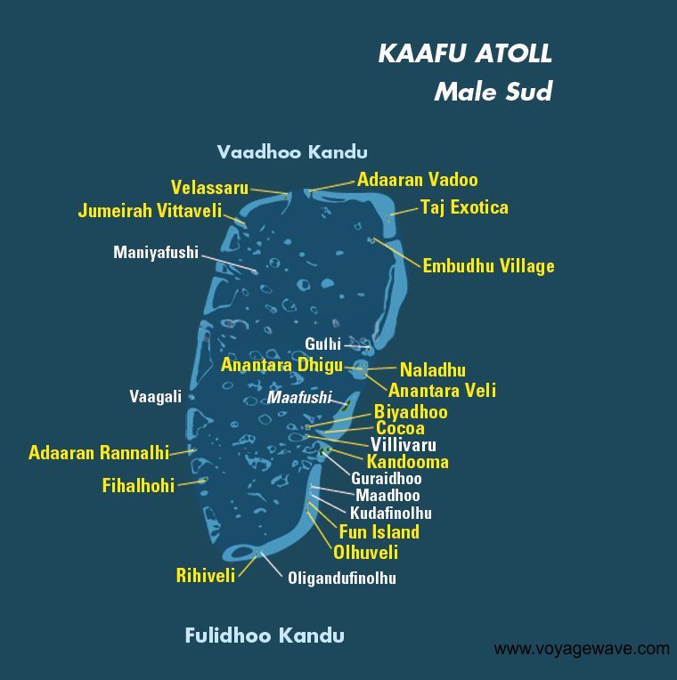 harta kaafu