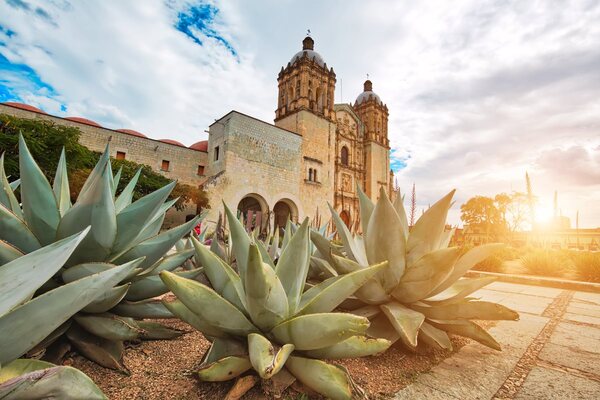 Catedrala Santo Domingo - Mexic