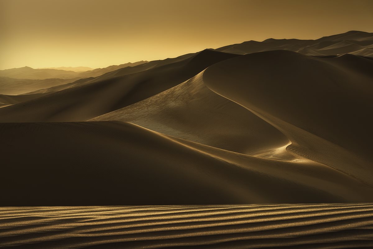 Desert - Abu Dhabi 