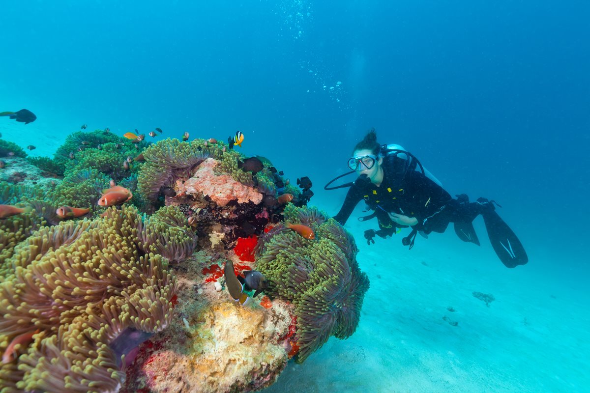 Scuba diving - Hurghada