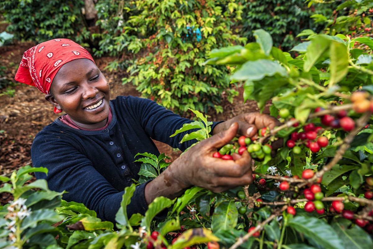 Oameni - Kenya