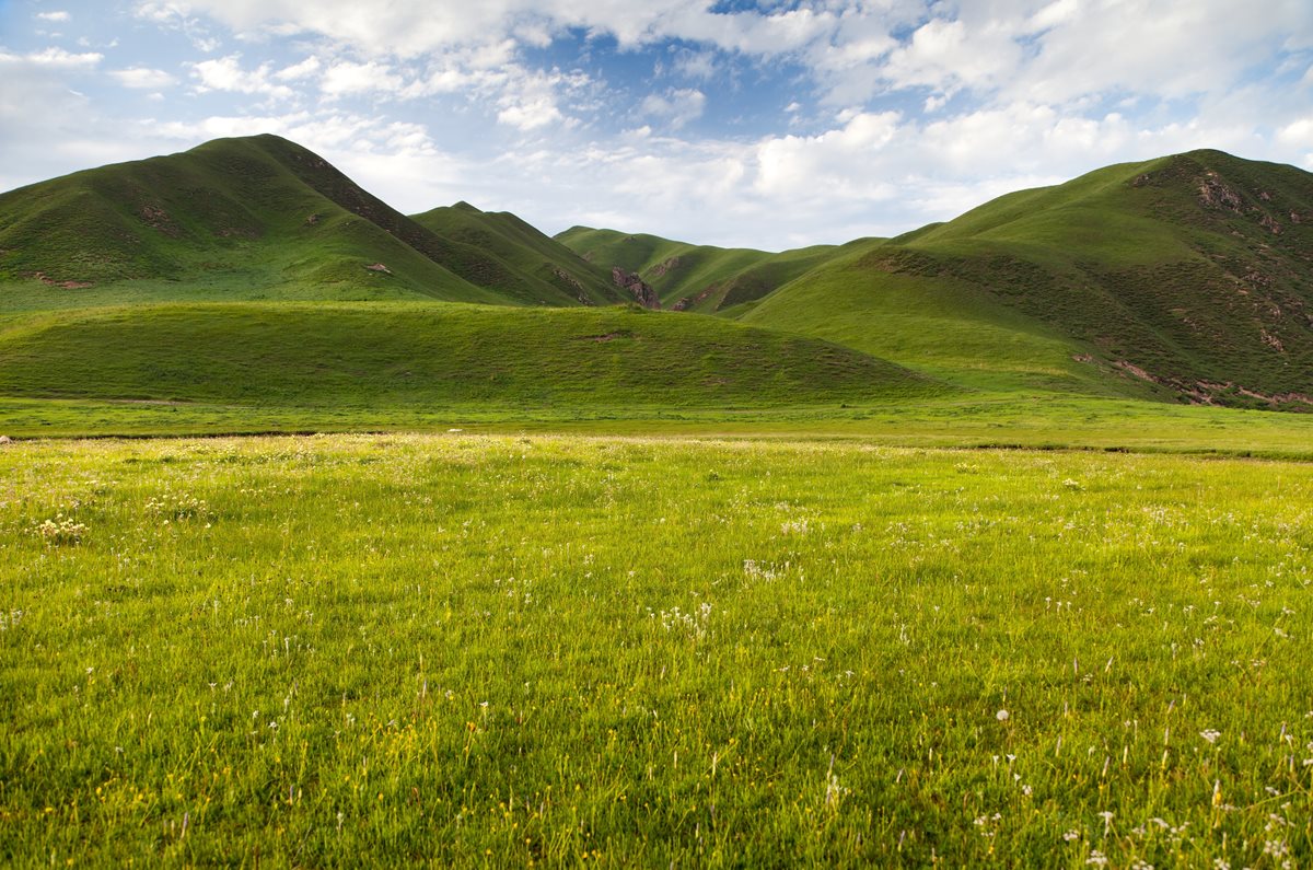 Qinghai - China