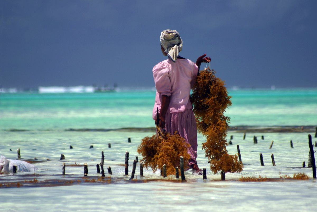 Oameni - Tanzania