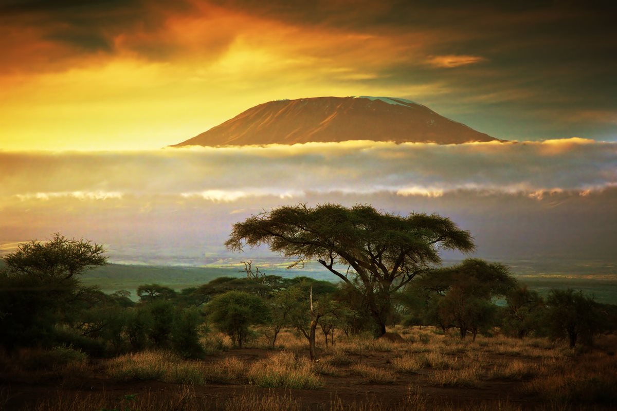 Apus in Kenya