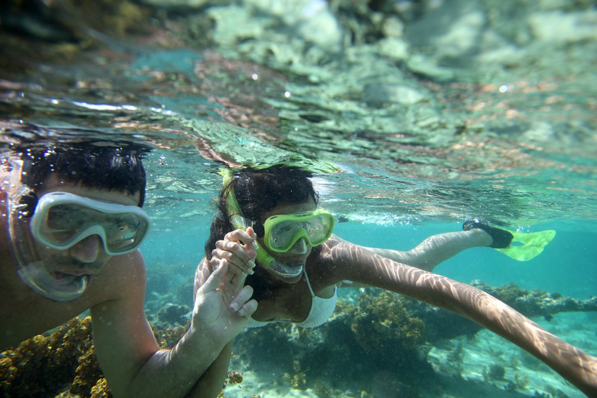 Snorkeling - Tenerife