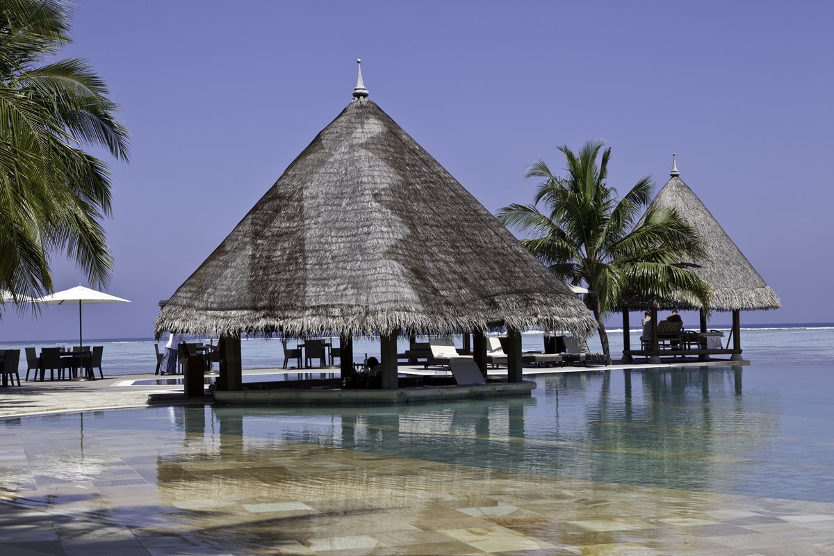 Bar langa piscina - Maldive