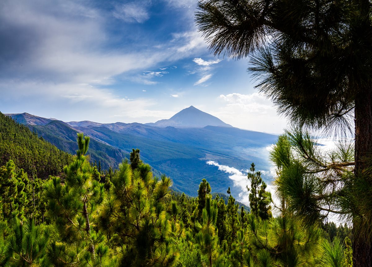 Parcul National Tide - Tenerife