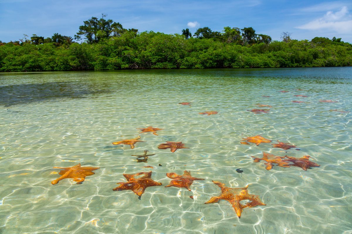 Insula Colón - Panama