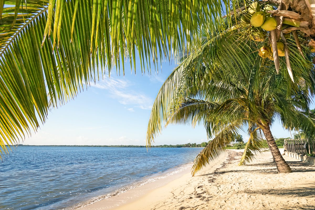 Playa Larga - Cuba