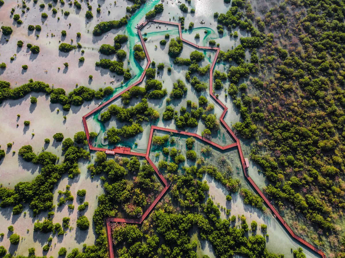 Jubail Mangrove Park - Abu Dhabi 