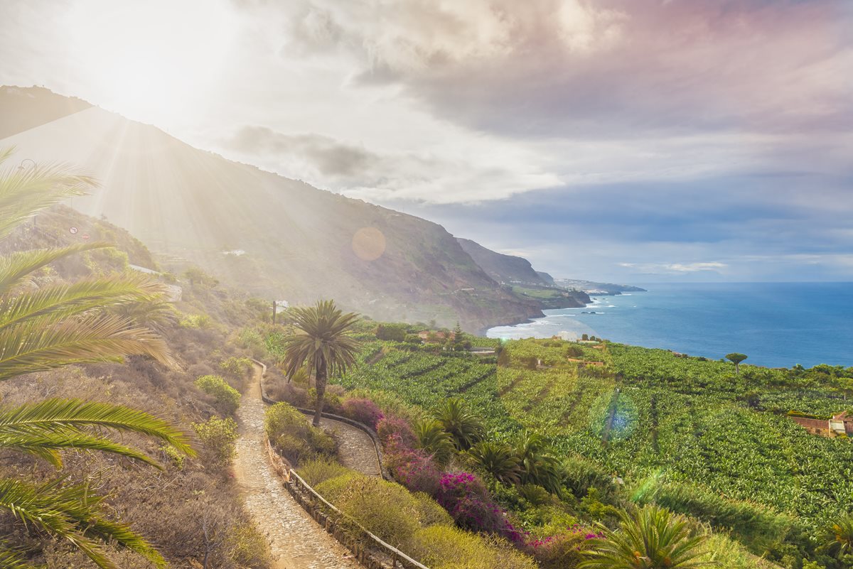 Coasta de nord Tenerife 