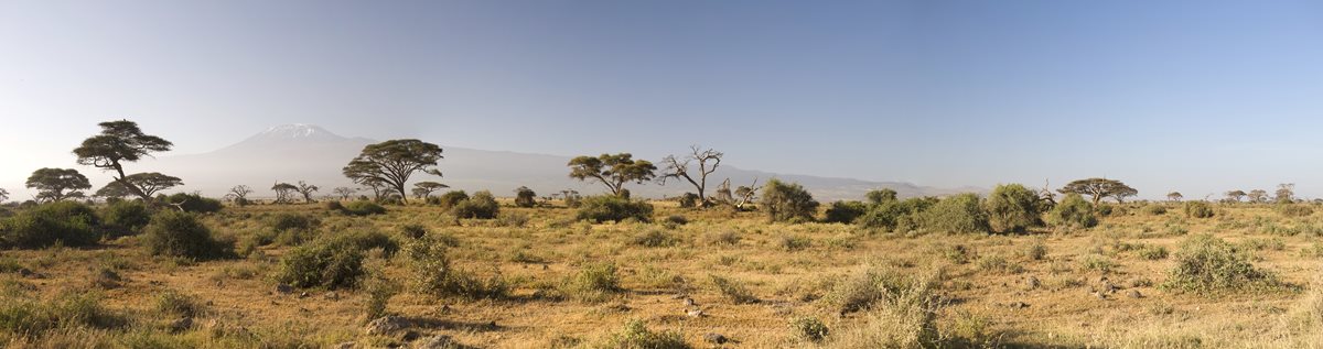 Parcul National Amboseli - Kenya