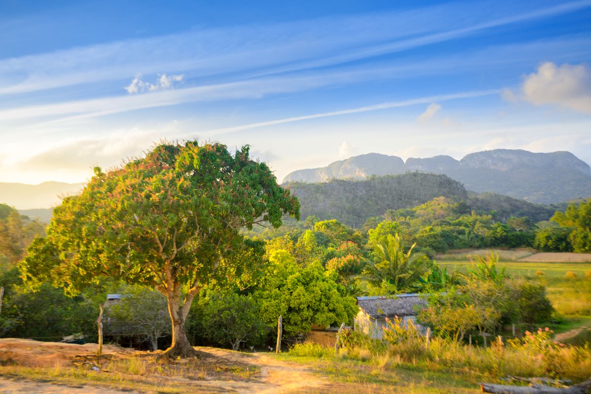 Valea Vinales - Cuba