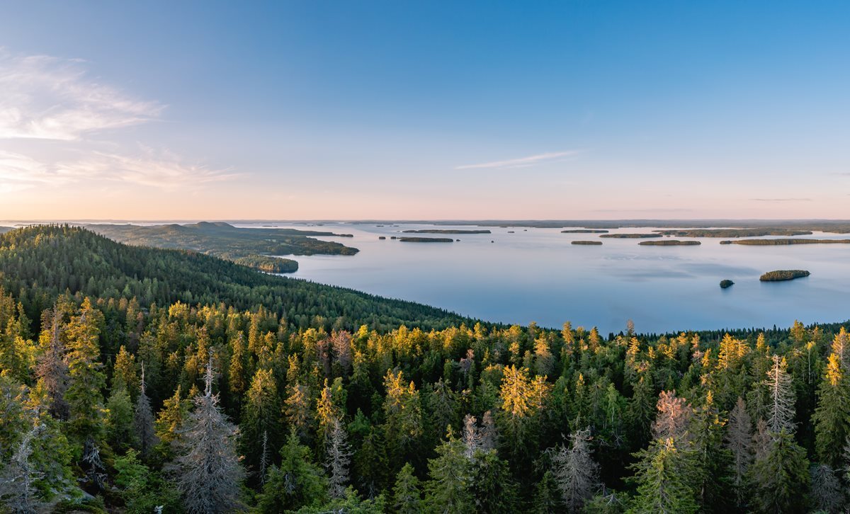 Parcul National Koli - Finlanda